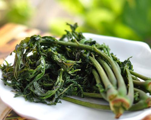 香椿咸菜怎么做？制作过程中有哪些常见问题？  第2张