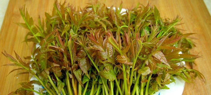 香椿肉末锅烙怎么做？步骤和技巧有哪些？  第2张