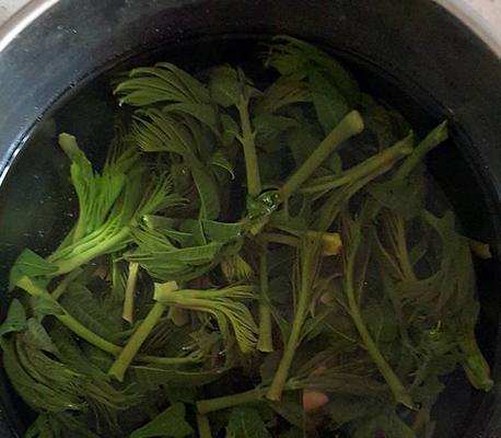 香椿苗拌嫩豆腐怎么做？步骤和技巧是什么？