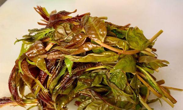 香椿煎土鸡蛋怎么做？步骤和技巧有哪些？
