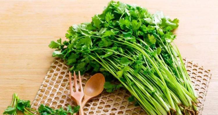 香菜猪肉炒干丝的做法是什么？如何炒出美味的香菜猪肉干丝？  第2张