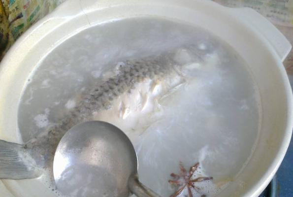 香菜鱼片汤怎么做？有哪些步骤和技巧？  第3张