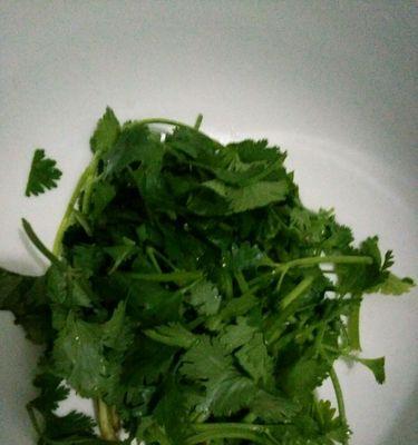 香菜叶蛋饼怎么做？有哪些步骤和技巧？  第2张