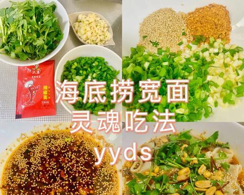 香菜鸭肉宽面怎么做？步骤和技巧是什么？  第2张