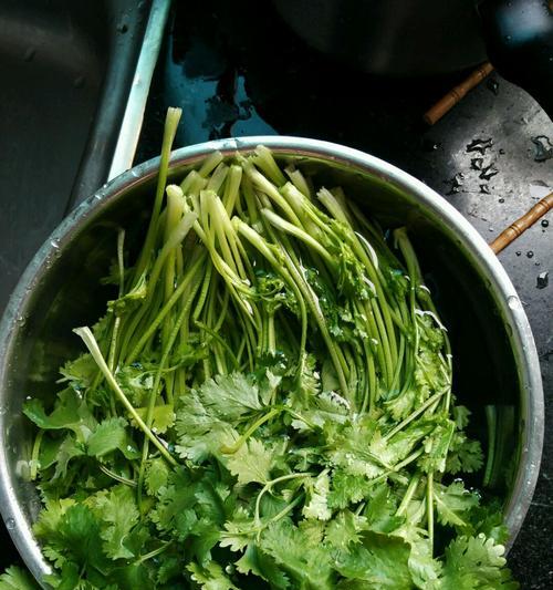 香菜司康怎么做？制作香菜司康的步骤是什么？