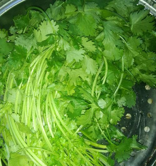 香菜肉丝怎么做？有哪些步骤和技巧？