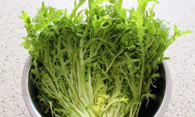 五行蔬菜包怎么做？有哪些健康益处？  第2张