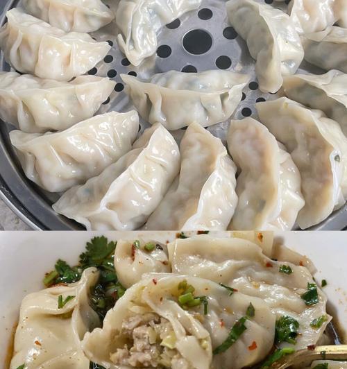 五色韭菜饺子怎么做？有哪些步骤和技巧？  第2张