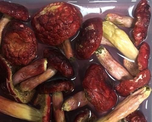 五花肉炖红菇怎么做？有哪些步骤和技巧？