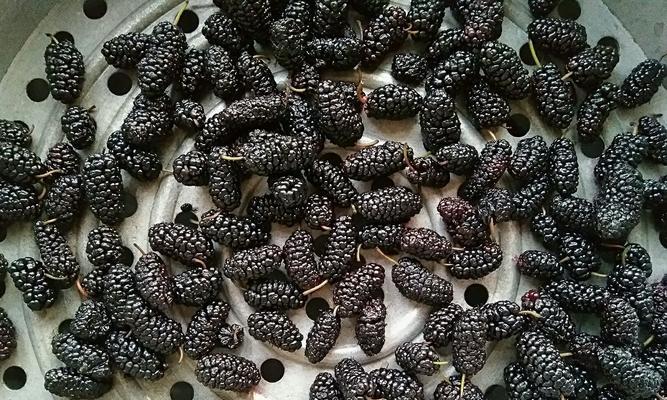 桑椹水果茶怎么做？制作过程中需要注意哪些常见问题？  第2张