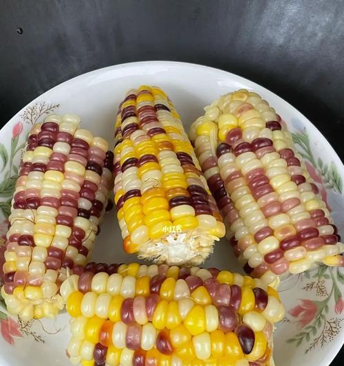 彩色玉米怎么做？有哪些简单又美味的食谱推荐？  第2张