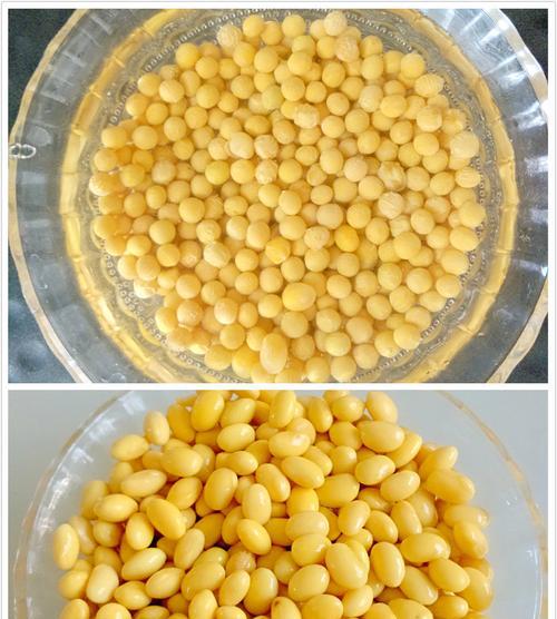 自制豆浆不用豆浆机的做法是什么？如何确保口感和营养？  第3张