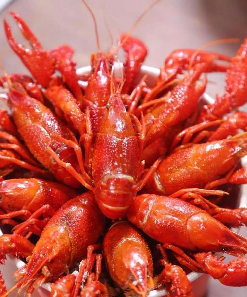 生卤虾怎么做才鲜美？详细步骤和常见问题解答？