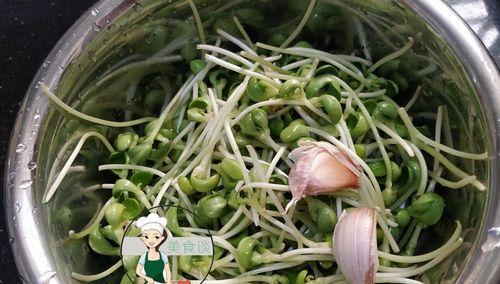 清炒黑豆苗怎么做？步骤和技巧有哪些？  第2张