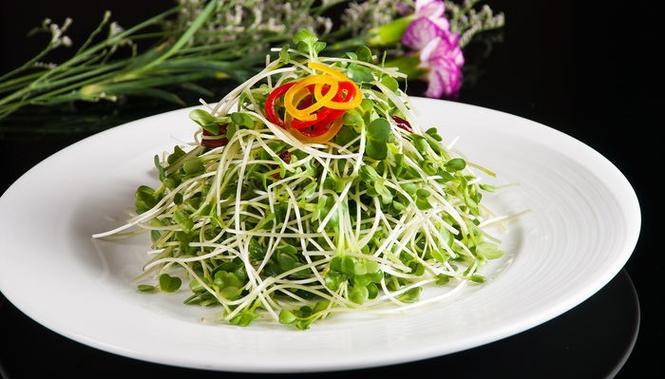 清炒黑豆苗怎么做？步骤和技巧有哪些？  第3张