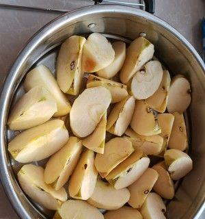 自制果脯，健康又美味（手把手教你如何制作健康又美味的果脯）  第1张