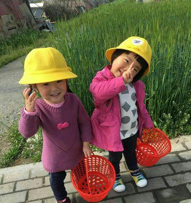 采摘的小女孩怎么做？采摘过程中的常见问题有哪些？  第3张