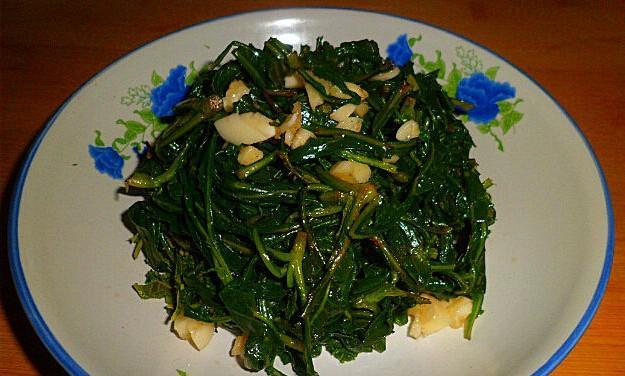 拌野生苦菜的做法是什么？如何确保其健康美味？