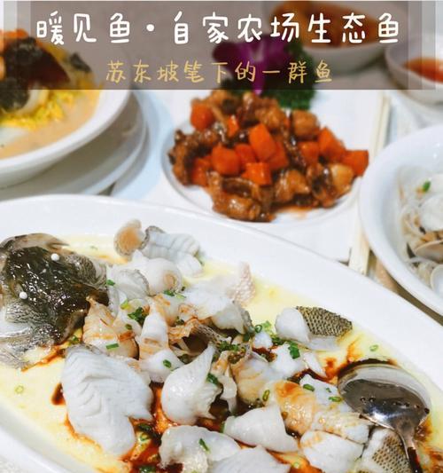 蒸沙鲈鱼的家常做法（口感鲜嫩）