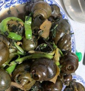 紫苏炒螺丝怎么做？步骤和技巧有哪些？