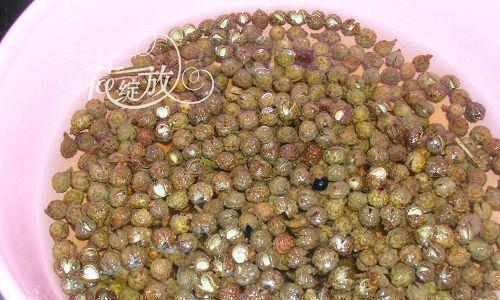 芝麻旗鱼甘松的制作方法（用新鲜旗鱼和特制甘松营造出美味的海鲜佳肴）  第1张