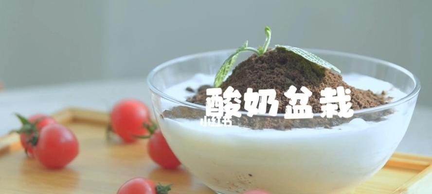 酸奶盆栽怎么做？制作过程中常见问题有哪些？  第2张