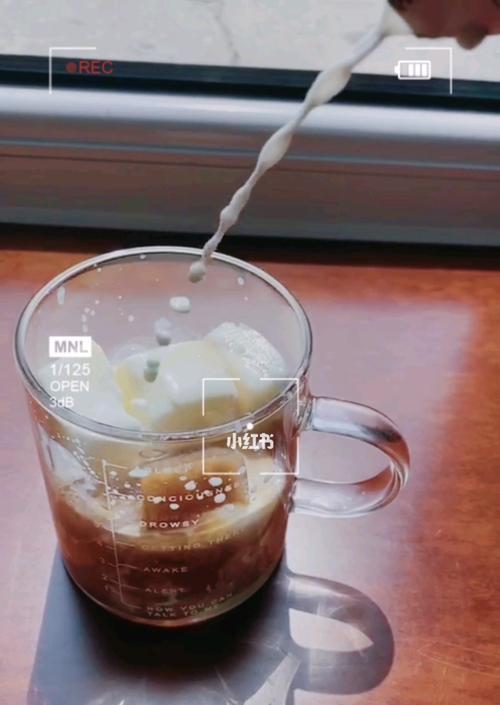 冰冻摩卡咖啡怎么做？在家制作的步骤和技巧是什么？  第2张