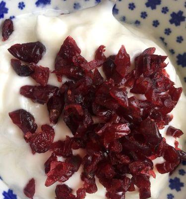 如何制作美味可口的酸奶棒（手把手教你做酸奶棒）