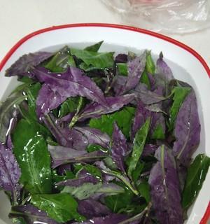 美味猪肝血皮菜的制作方法（教你轻松做出营养丰富又美味的猪肝血皮菜）