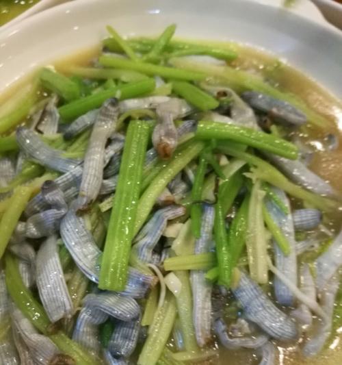 如何制作营养丰富的沙虫粥（探秘沙虫粥的营养成分及其做法）