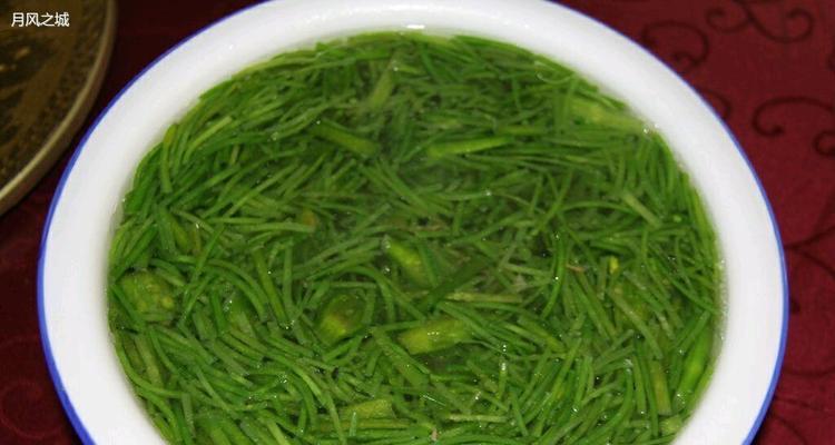 清炒洱海海菜的美味做法（用新鲜海菜享受美味佳肴的制作技巧）