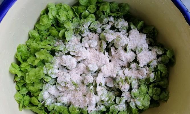 探秘蒸榆钱的做法（掌握制作蒸榆钱的技巧与窍门）