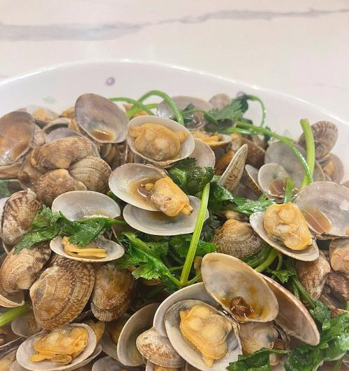 鲜美蒸花蛤的做法（海鲜美食）