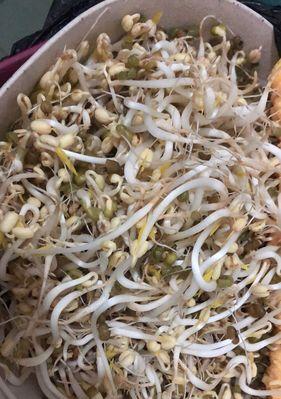 上汤绿豆苗怎么做？步骤和技巧有哪些？