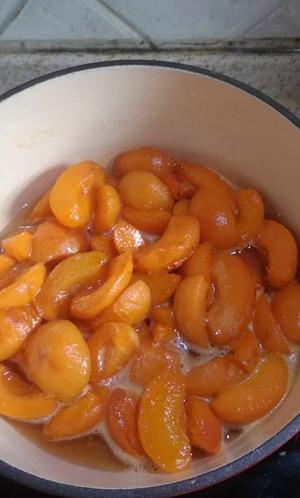自制美味杏干的完美做法（让你在家享受天然美味的杏干）