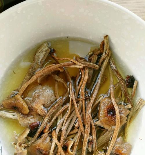 茶树菇玉米鸡汤怎么做？有哪些步骤和技巧？  第2张