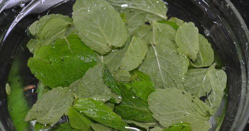 清爽夏日，教你做一道美味的薄荷鲮鱼（清新解暑）