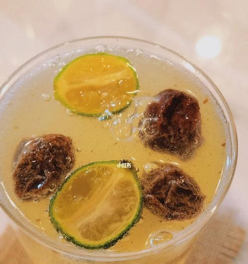 自制青柠橘子气泡水（简单易学的家庭饮品制作方法）