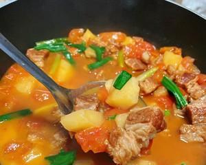 舌尖上的经典美味——以西红柿牛腩土豆（经典美味的制作方法和口感体验）