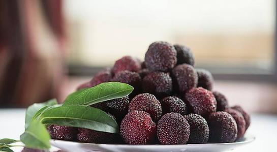 杨梅糖水和杨梅酒怎么做？制作过程中常见问题有哪些？