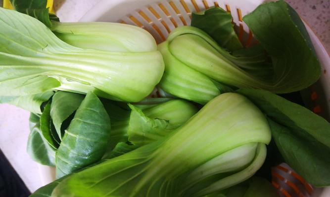 素炒油菜怎么做？步骤和技巧有哪些？
